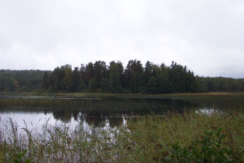 Praston